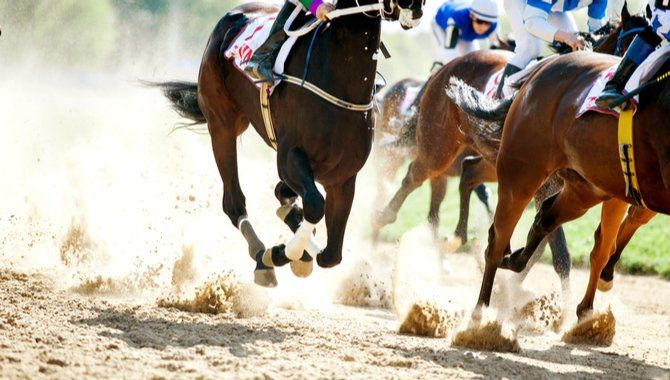 Entain secures live horse racing content through to 2026