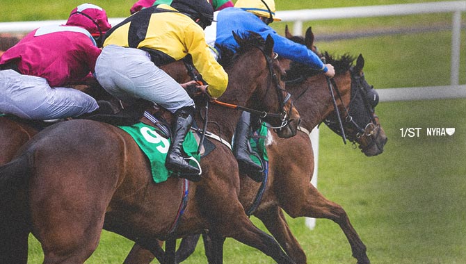 1 st Content partners with NCMS to distribute horseracing content in North America